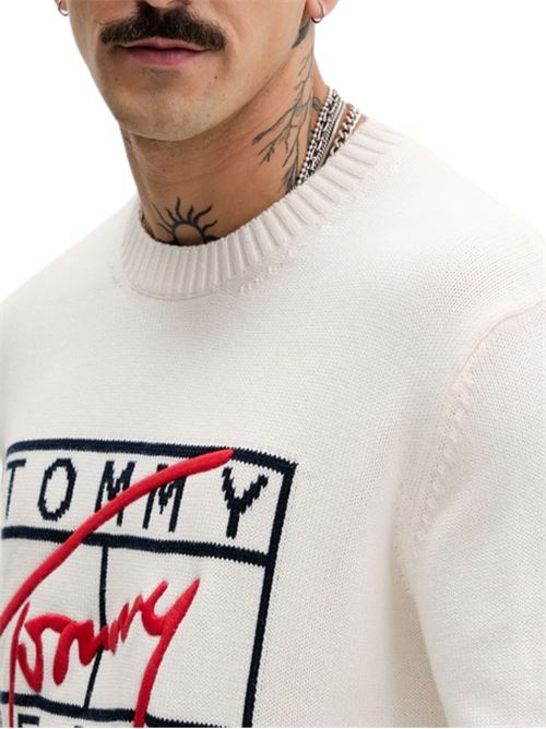 Maglioncino con grafica Tommy Jeans | DM0DM22401YBH